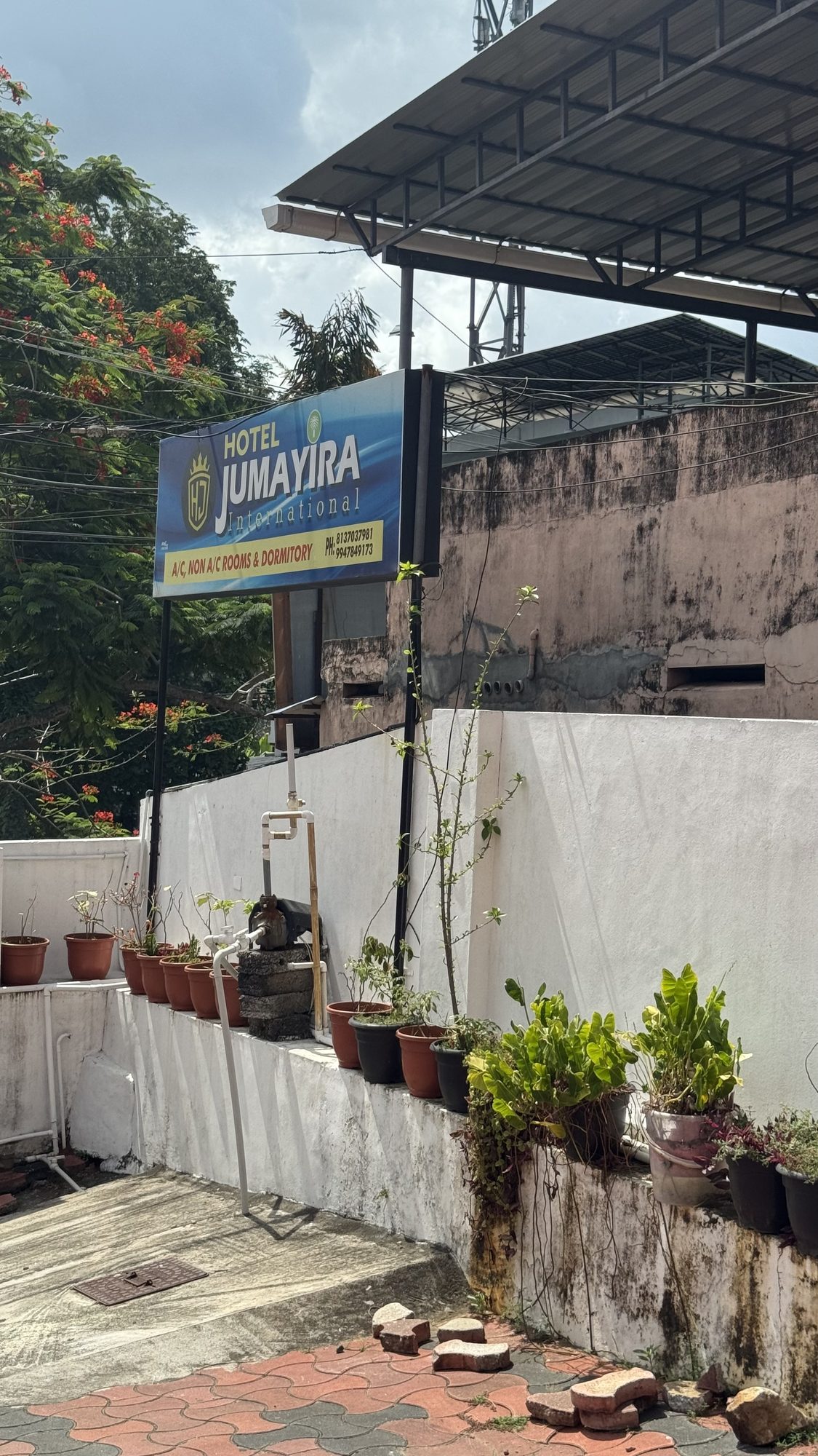 Jumayira International hotel garden and plants in Kovalam